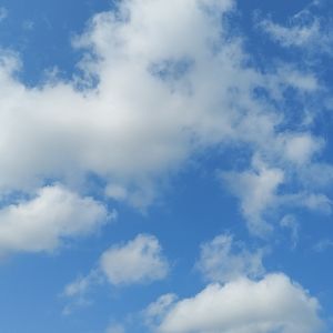 Meet your Posher, Liam